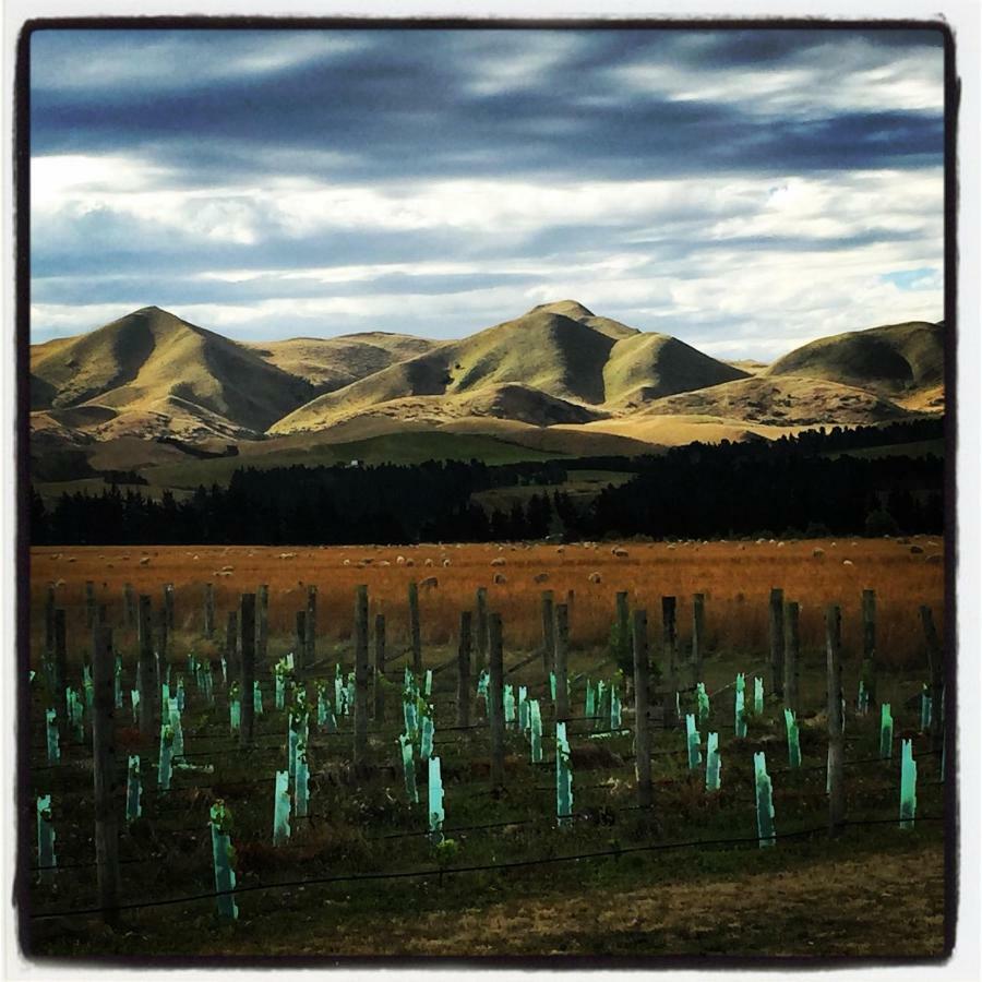 Romantic Vineyard Getaway Waipara Exteriör bild