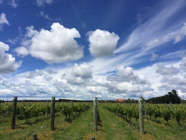 Romantic Vineyard Getaway Waipara Exteriör bild