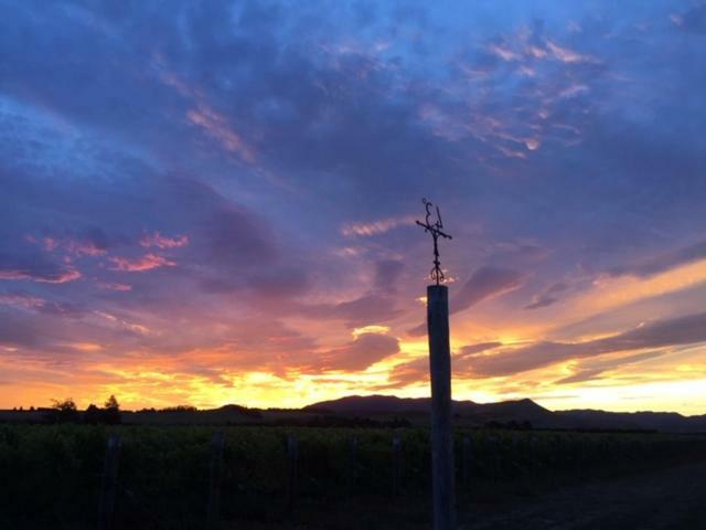 Romantic Vineyard Getaway Waipara Exteriör bild