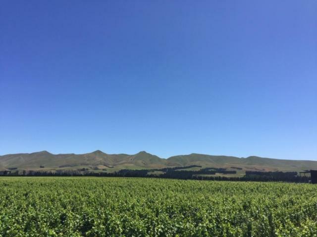 Romantic Vineyard Getaway Waipara Exteriör bild